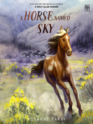 cover image of A Horse Named Sky